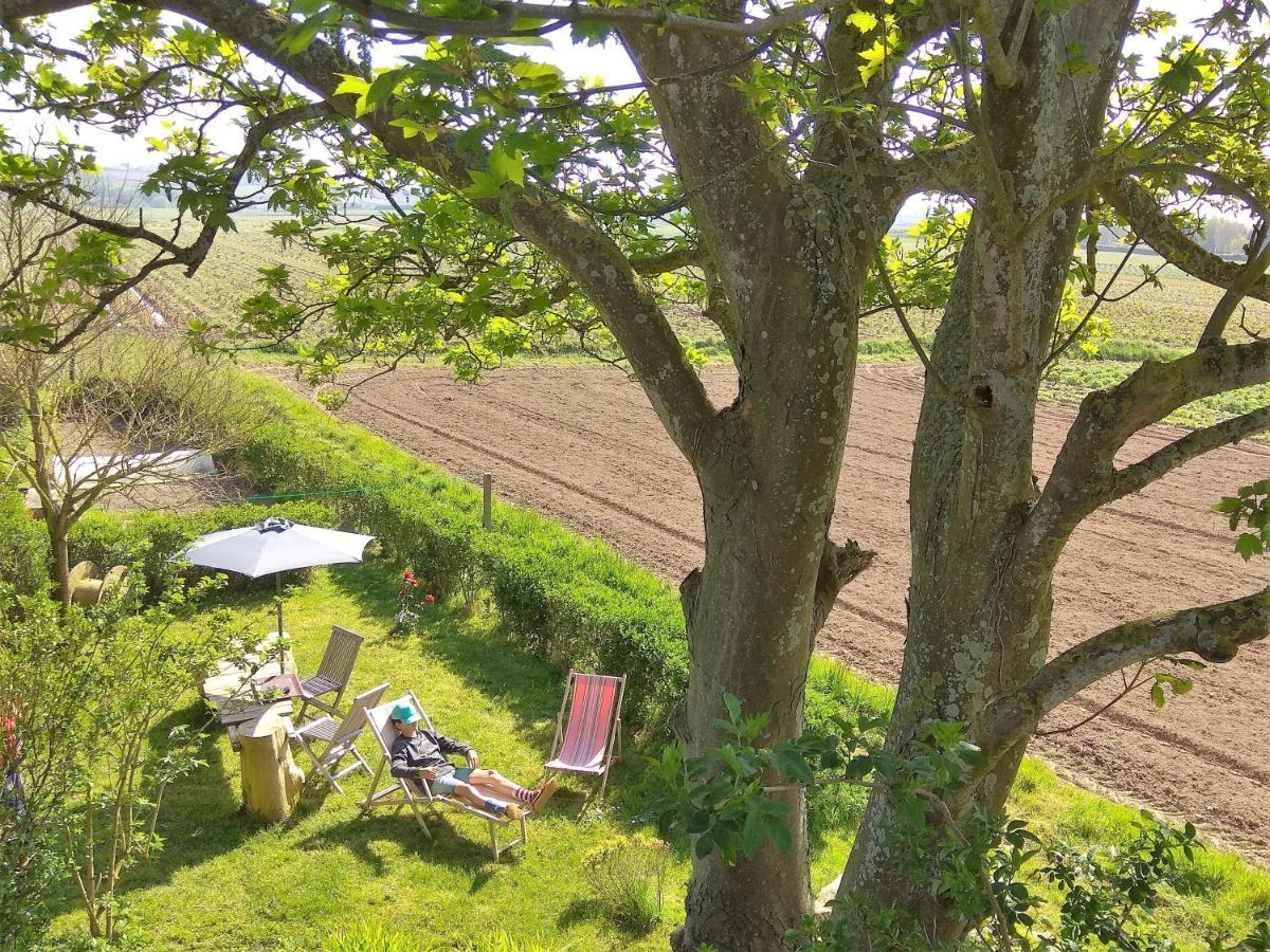La Grange Aux Lievres, Gites Kerdoel Cléder Kültér fotó